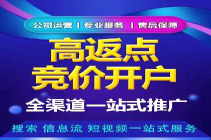 某行业领先企业背后的百度推广代理商策略